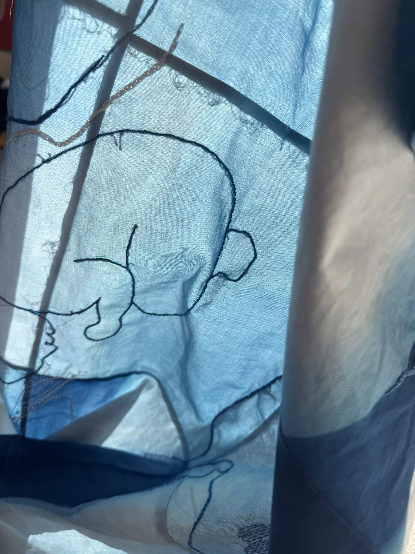 In/Out Pregnancy detail
